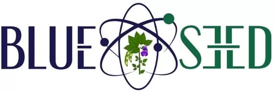 Blue Seed Szojaoltopor Logo Blue Seed Szojaoltopor Logo